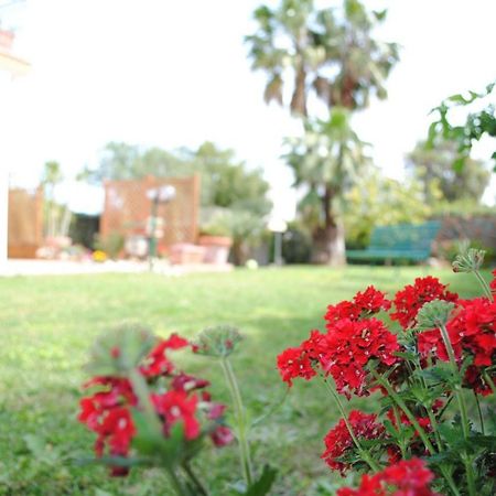 Villa Regina B&B Nettuno Eksteriør billede