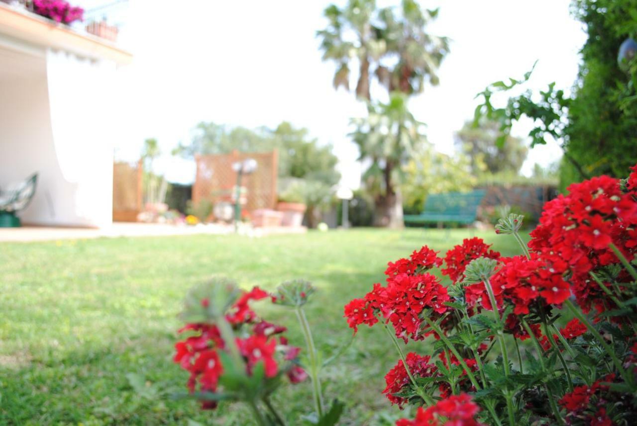 Villa Regina B&B Nettuno Eksteriør billede