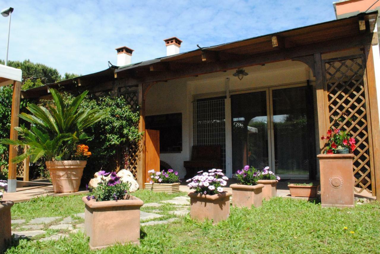 Villa Regina B&B Nettuno Eksteriør billede
